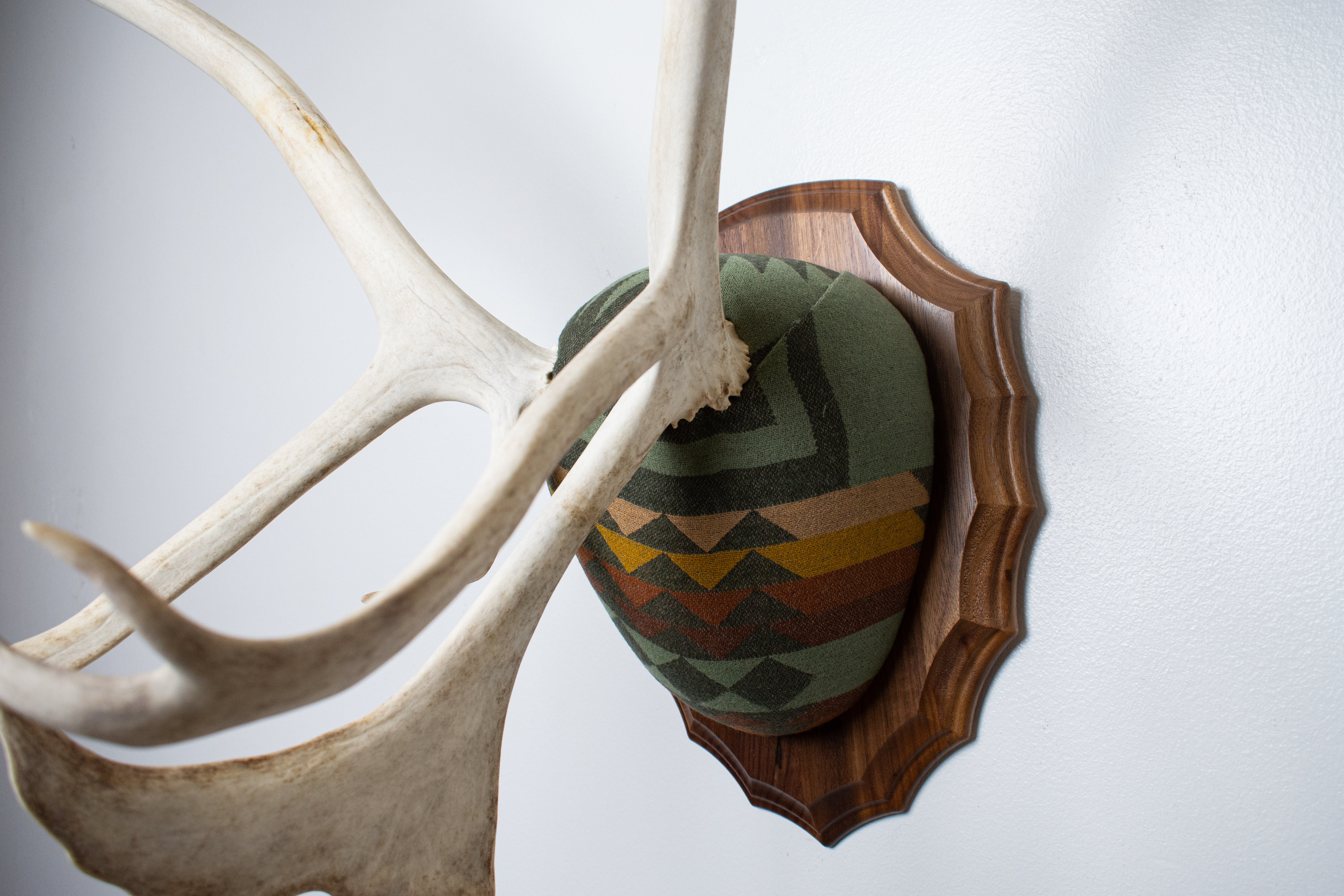 Caribou Antler Mount | Sage | 26