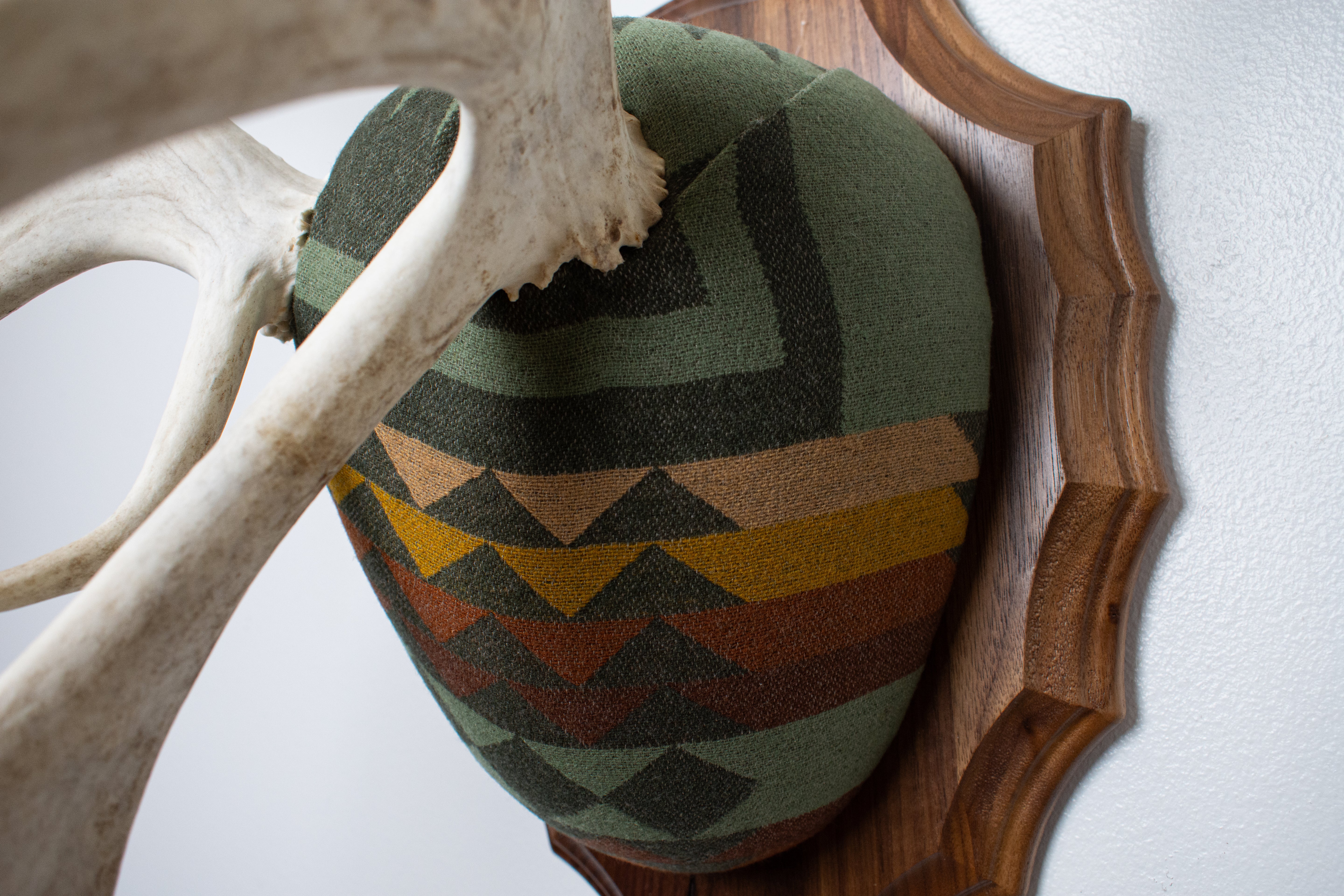 Caribou Antler Mount | Sage | 26