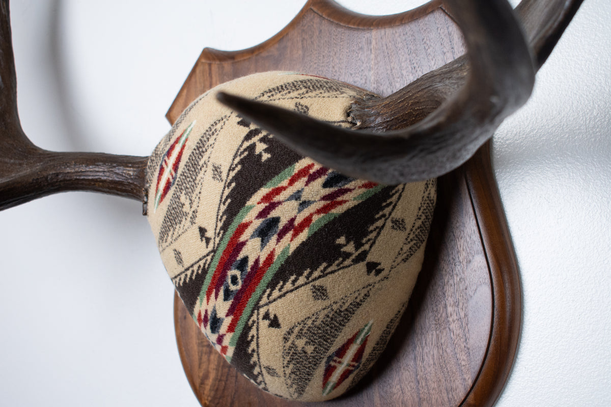 Moose Antler Mount | Mesa | 28