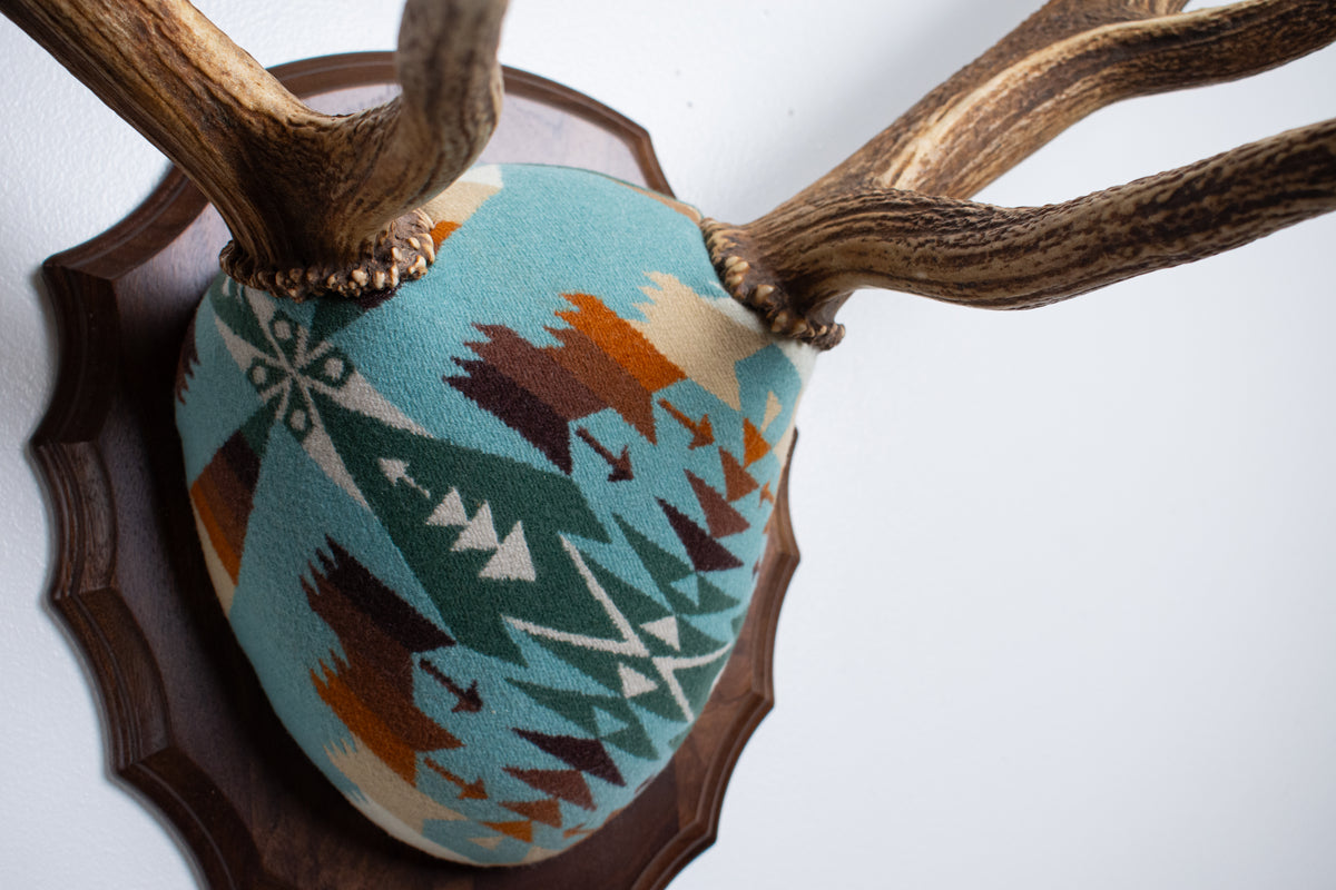 Elk Antler Mount | Juniper | 29
