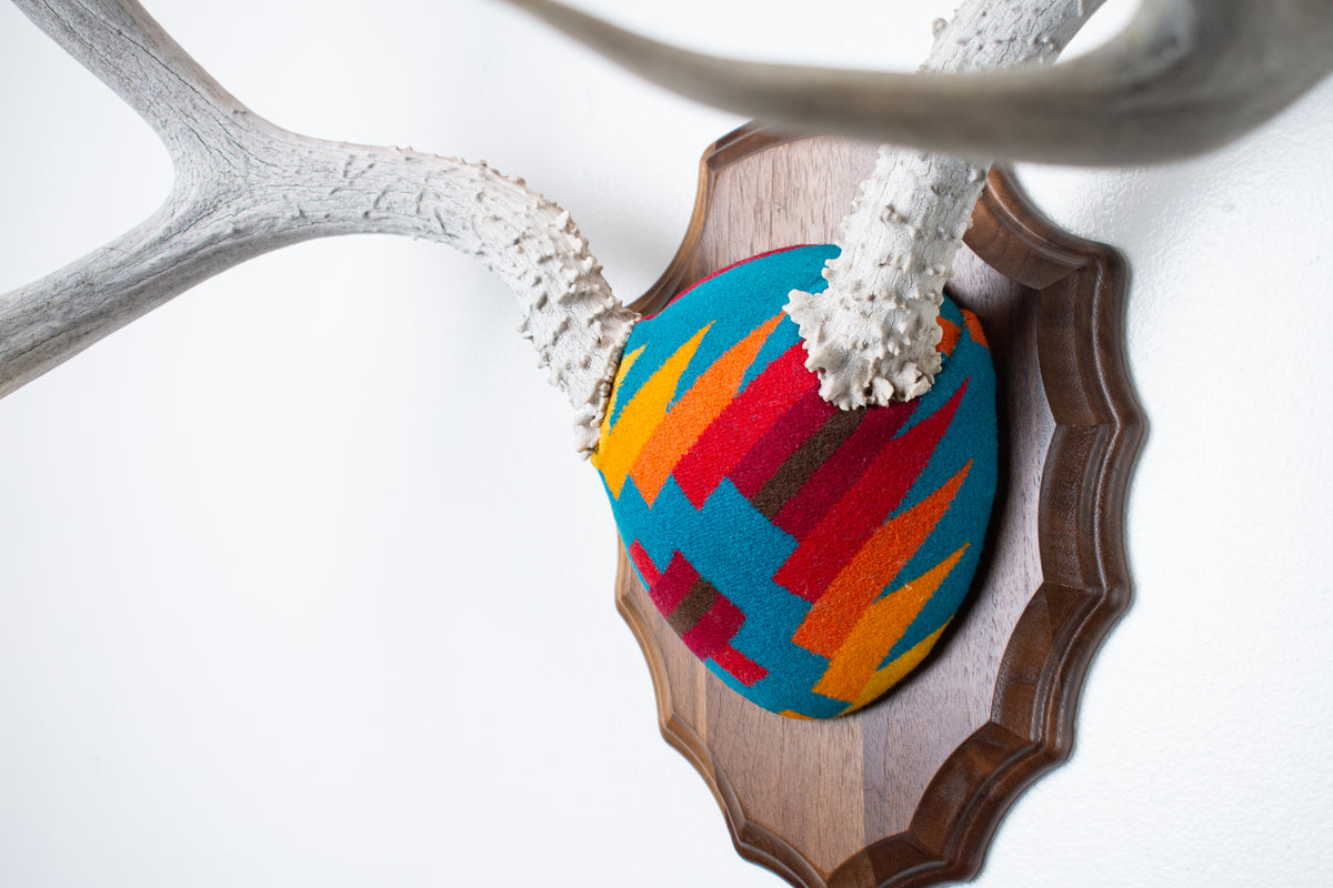 Mule Deer Antler Mount | Sedona | 30