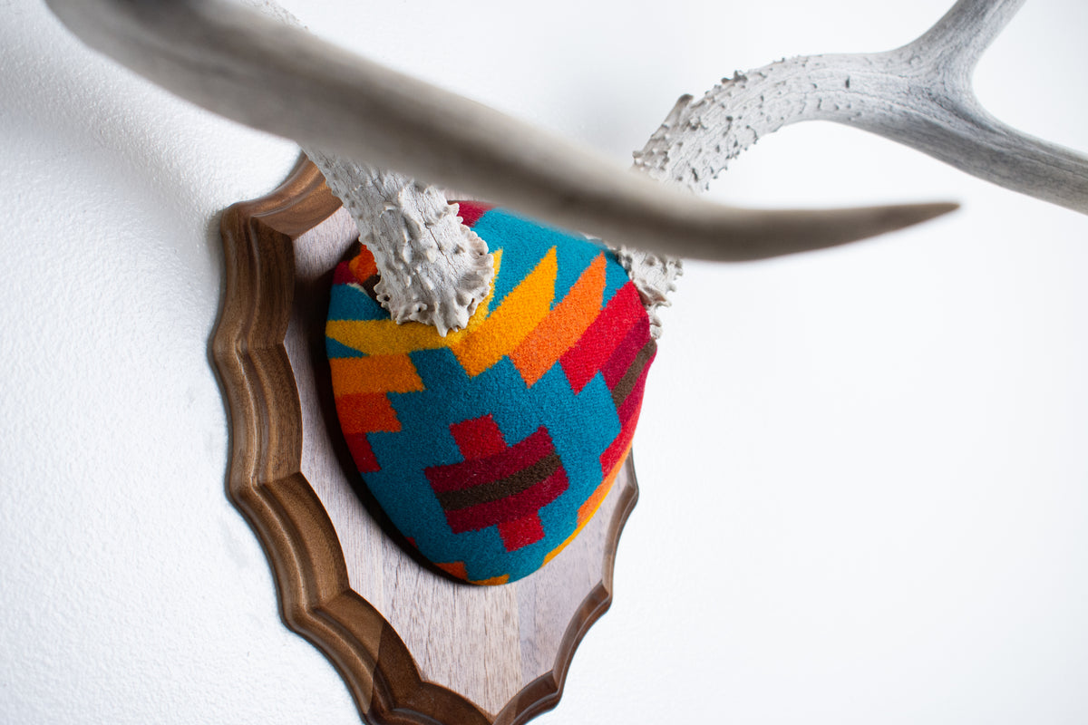 Mule Deer Antler Mount | Sedona | 30