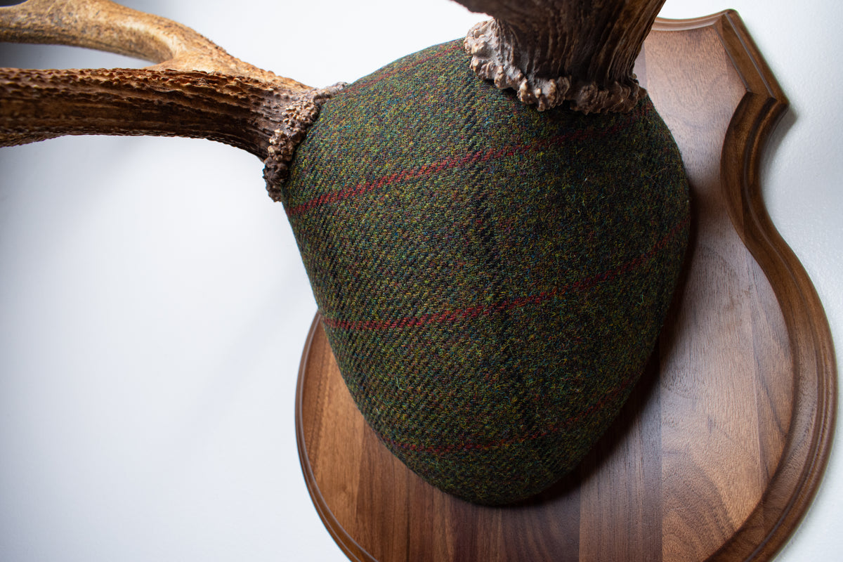 Elk Antler Mount | Green mix with Black and Red Overcheck | 69