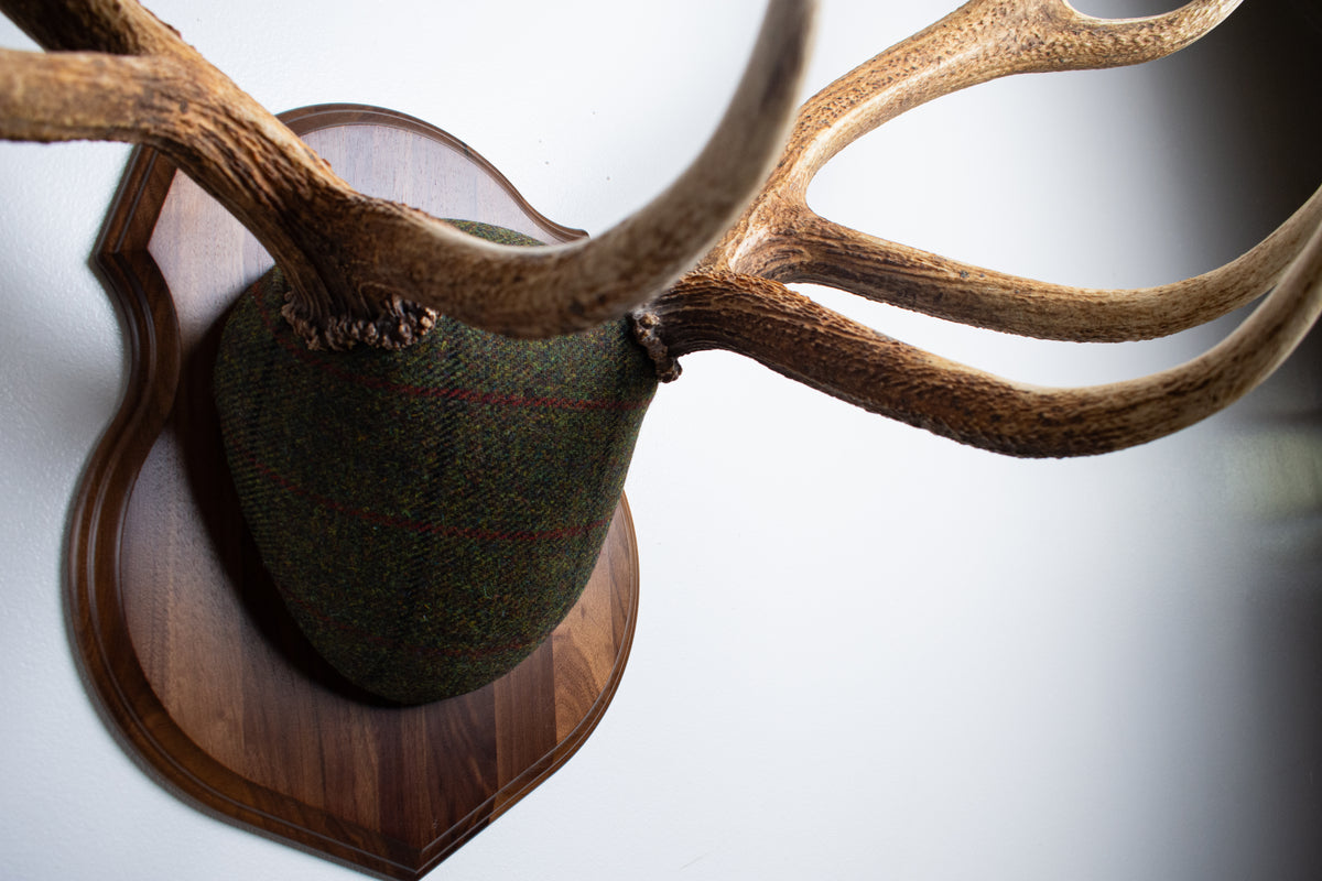 Elk Antler Mount | Green mix with Black and Red Overcheck | 69