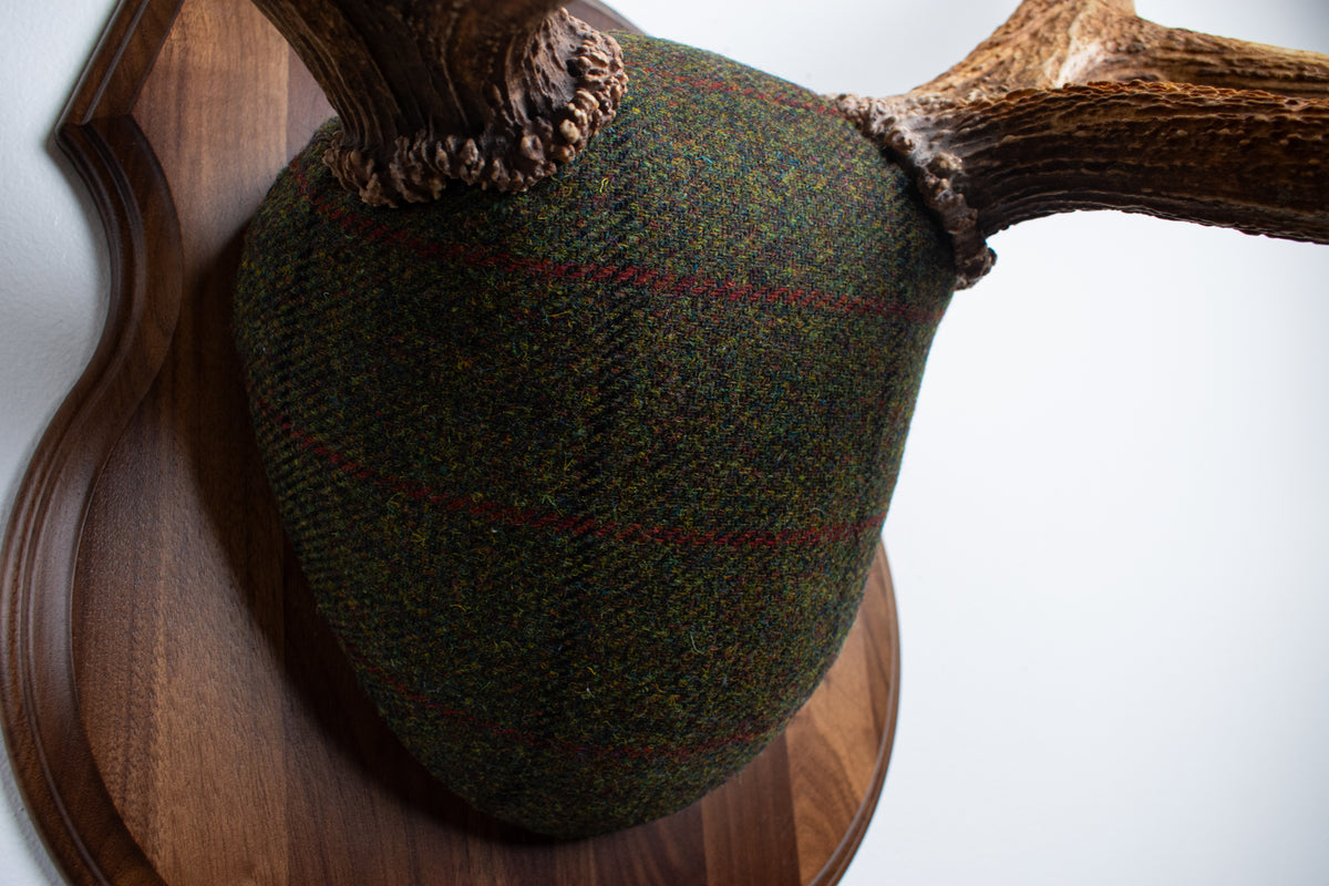 Elk Antler Mount | Green mix with Black and Red Overcheck | 69