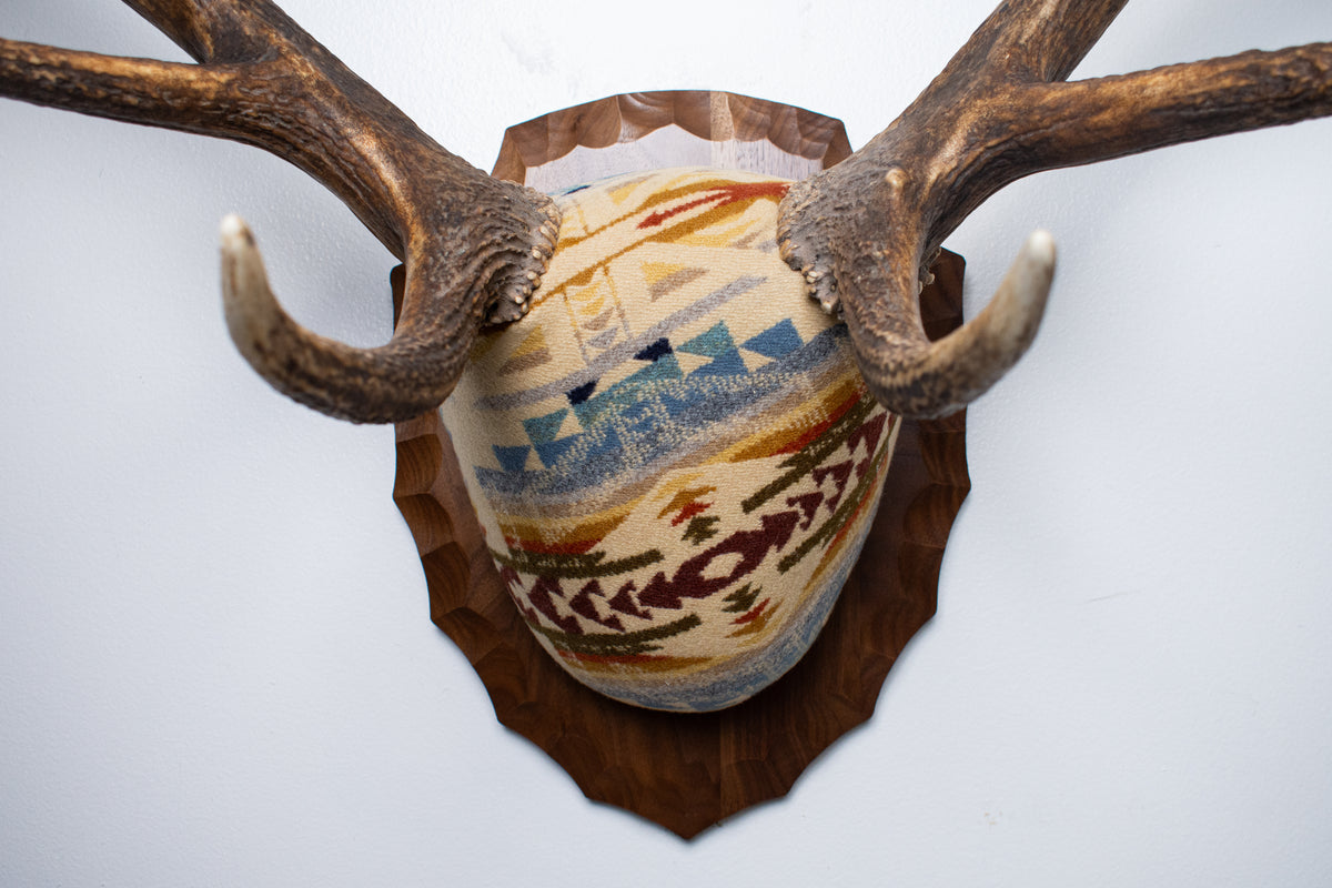 Elk Antler Mount | Camas | 31