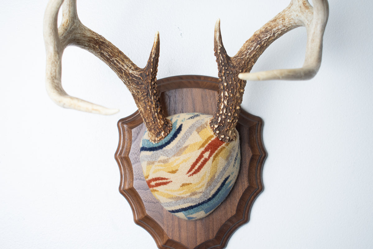 Whitetail Deer Antler Mount | Camas | 32