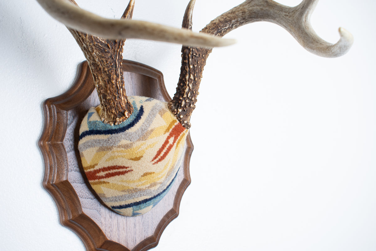 Whitetail Deer Antler Mount | Camas | 32