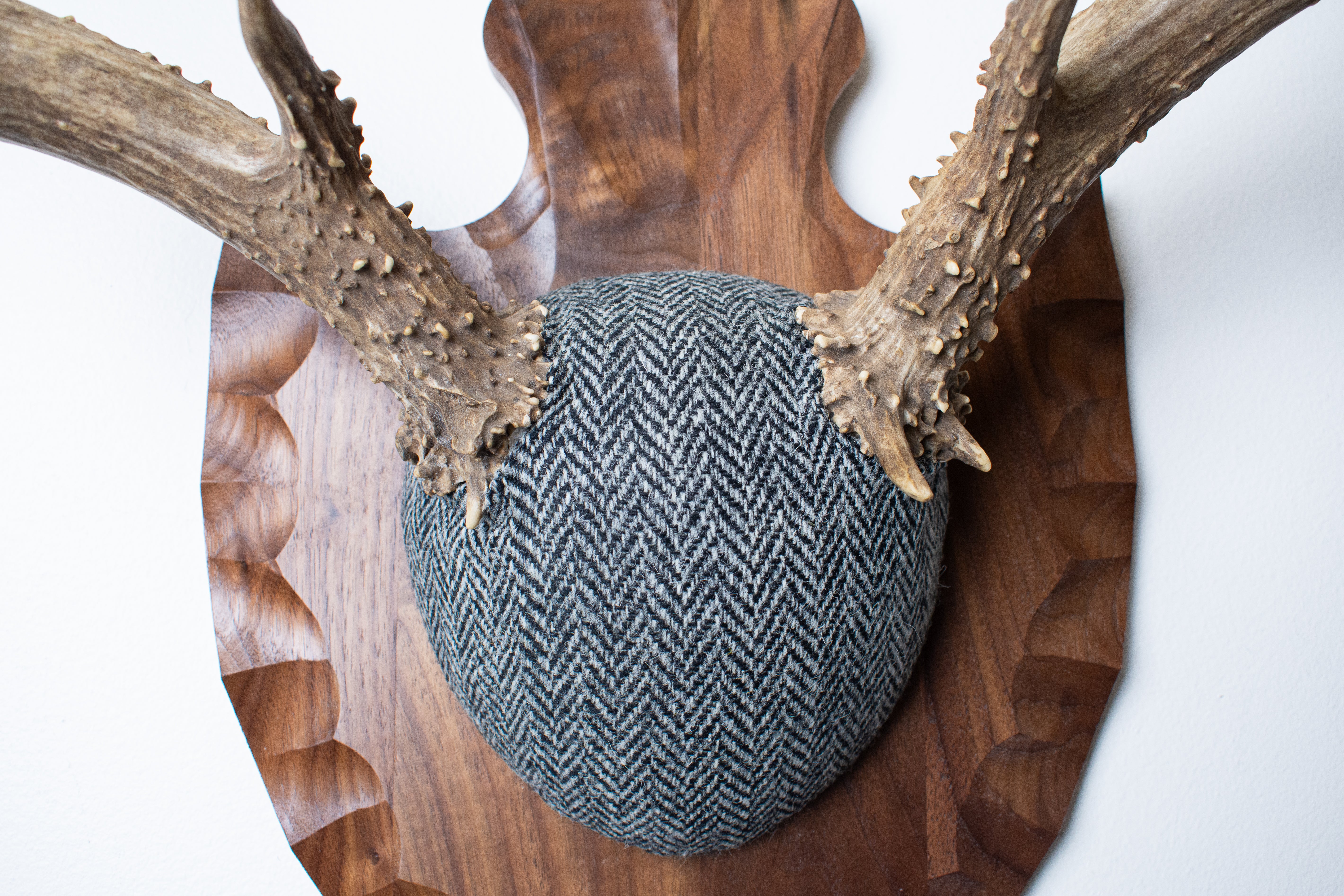 Mule Deer Antler Mount | Grey & Black Herringbone | 03