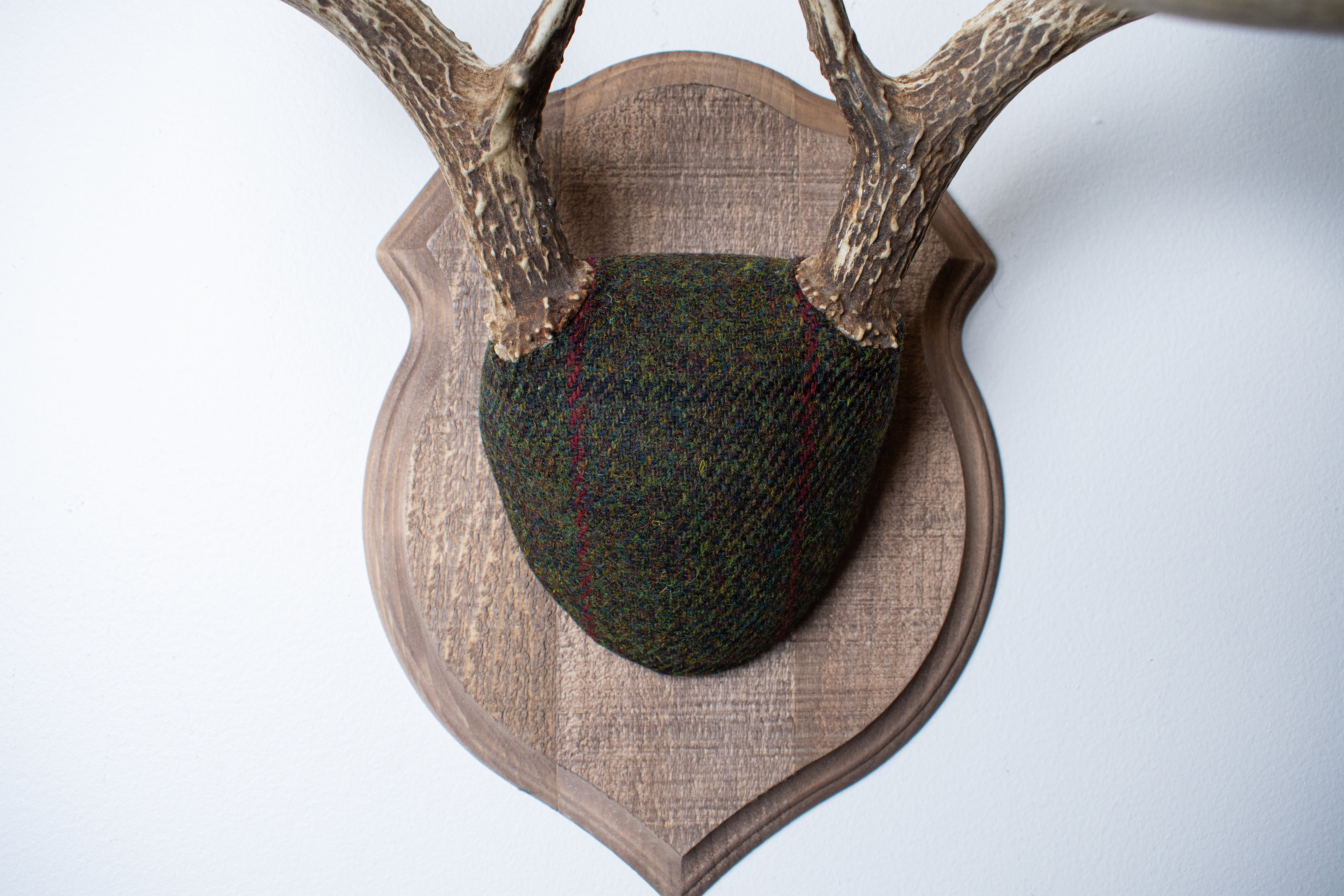 Whitetail Deer Antler Mount | Green, Black, & Red Overcheck | 05