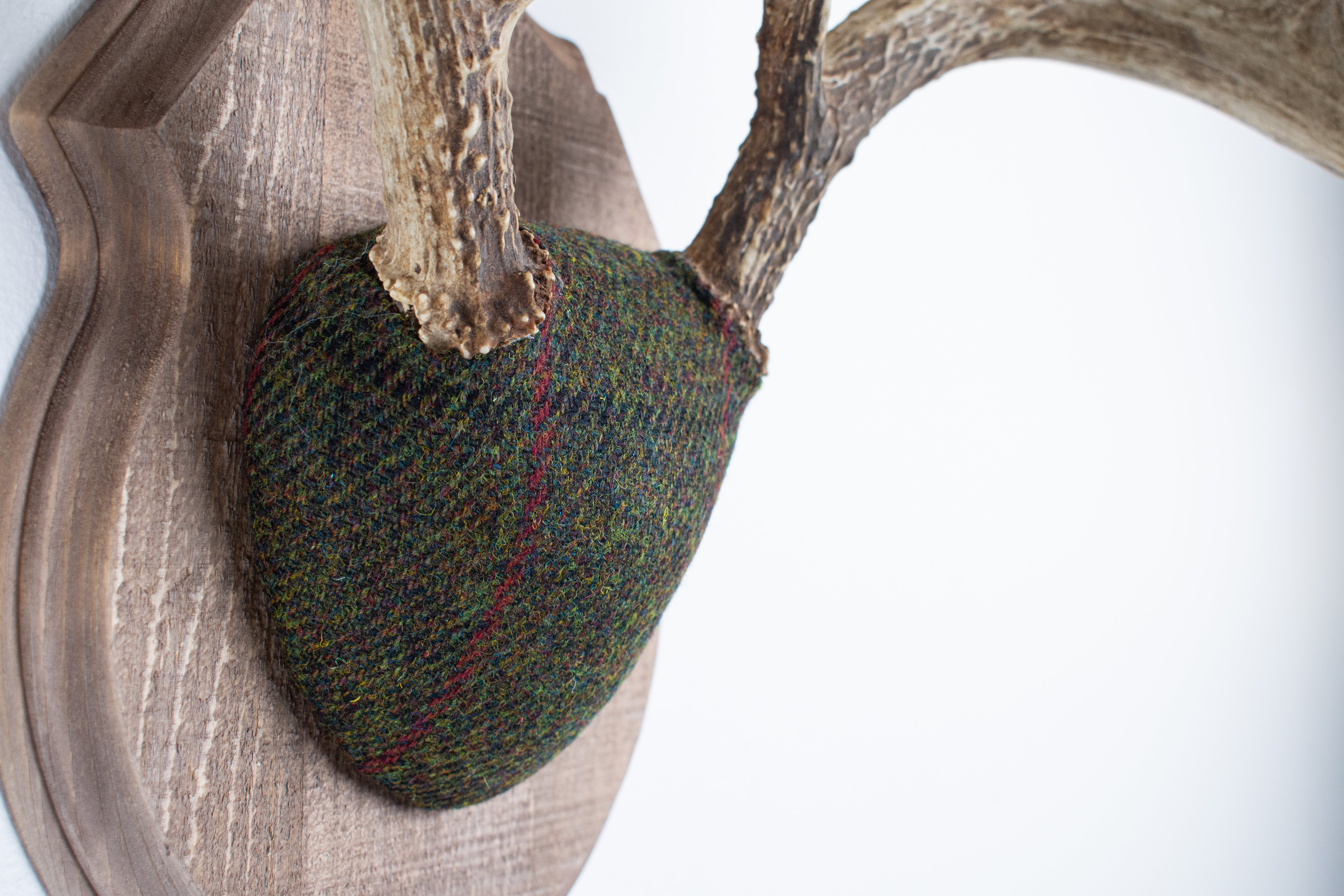 Whitetail Deer Antler Mount | Green, Black, & Red Overcheck | 05