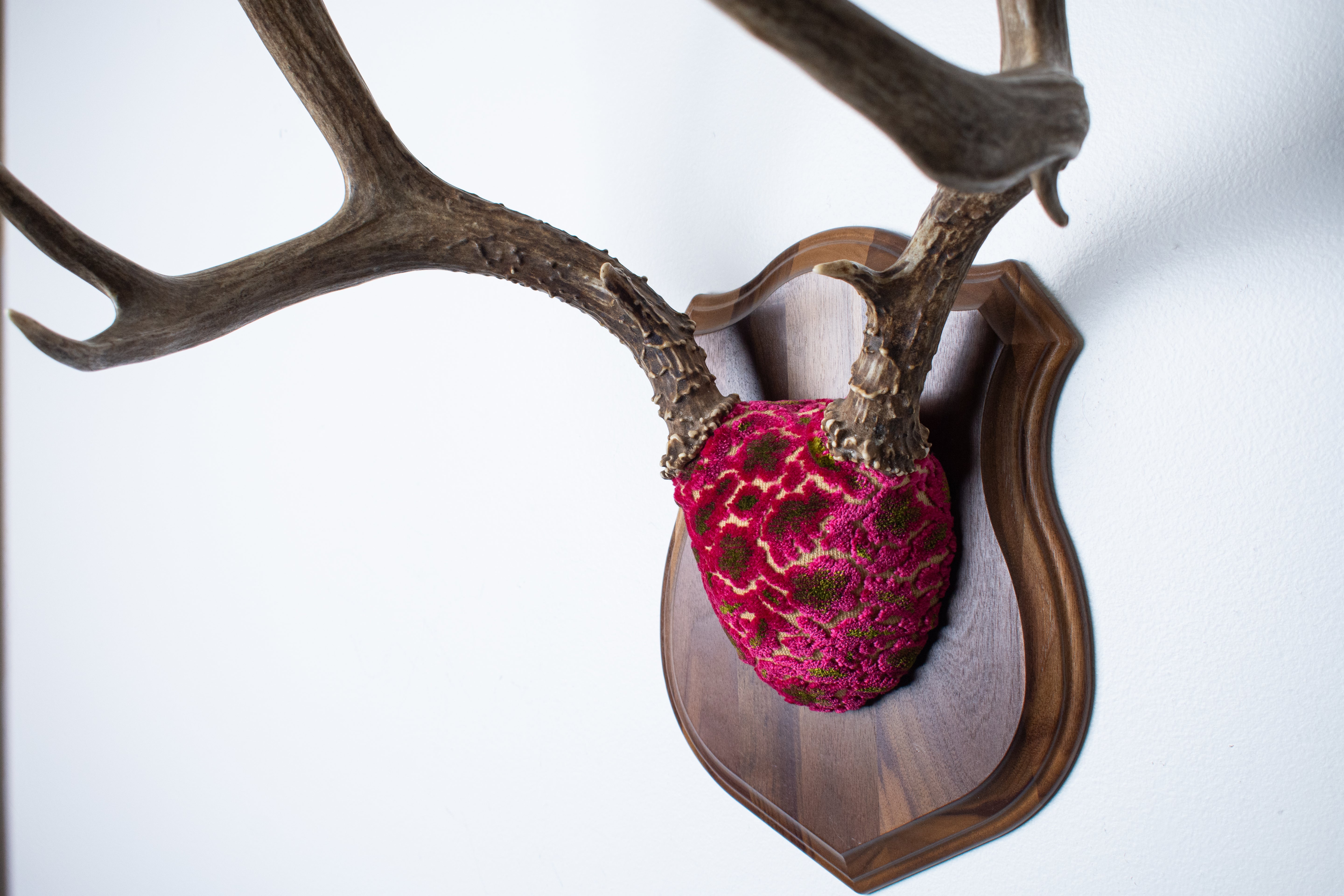 Mule Deer Antler Mount | Magenta & Olive | 01